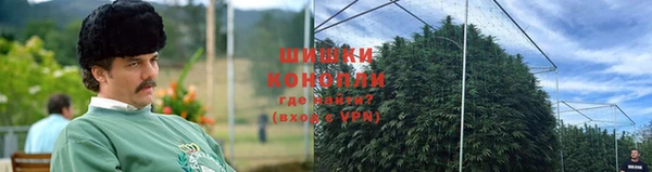 сатива Красноперекопск