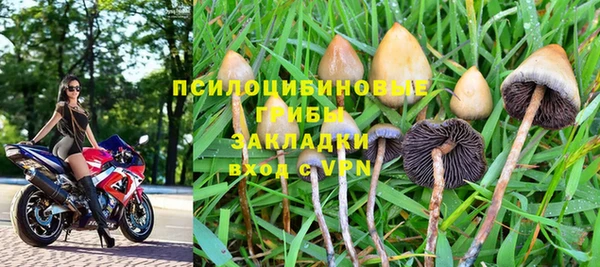 таблы Краснослободск