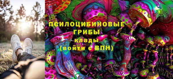 сатива Красноперекопск