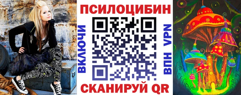 Купить закладки  Кяхта  Псилоцибиновые грибы Magic Shrooms 
